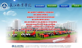 武漢市陸叁玖科技 一站式數字解決方案，助力企業騰飛